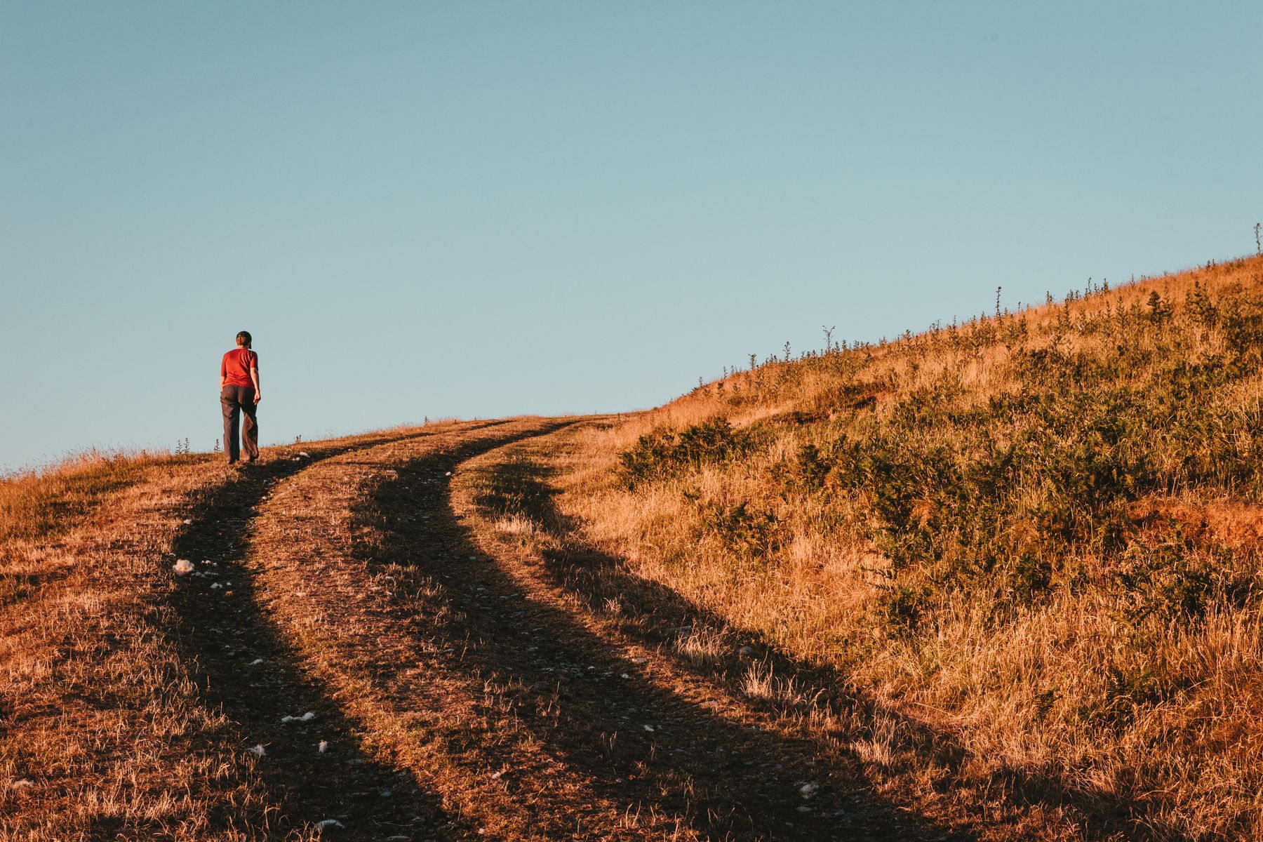 How Debt Slows the Path to Independence