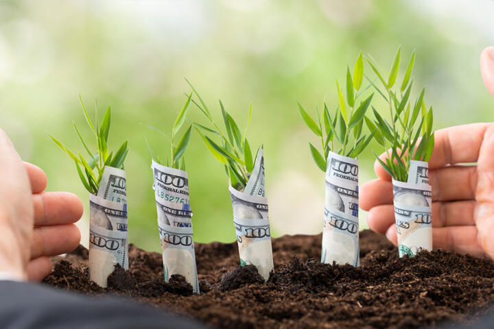 Tax-Loss Harvesting: A Strategy to Maximize Your Portfolio