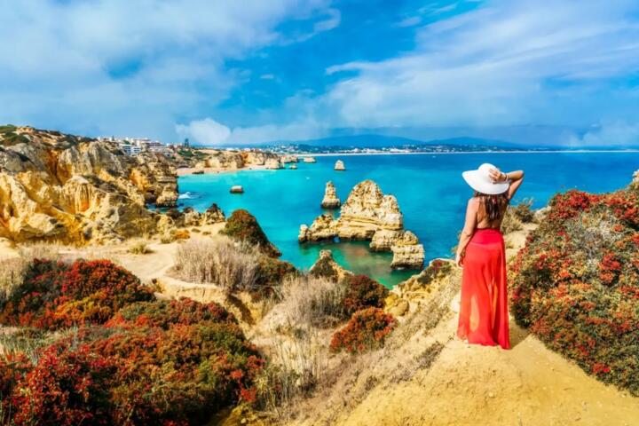 Portugal’s Digital Nomad Visa vs D7: Which is Better for Retirees?